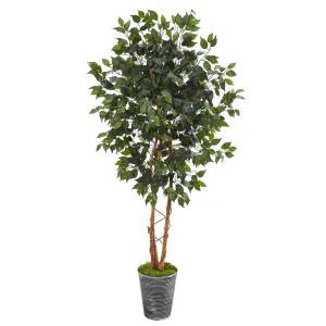 5.5’ Ficus Artificial Tree in Decorative Tin Planter