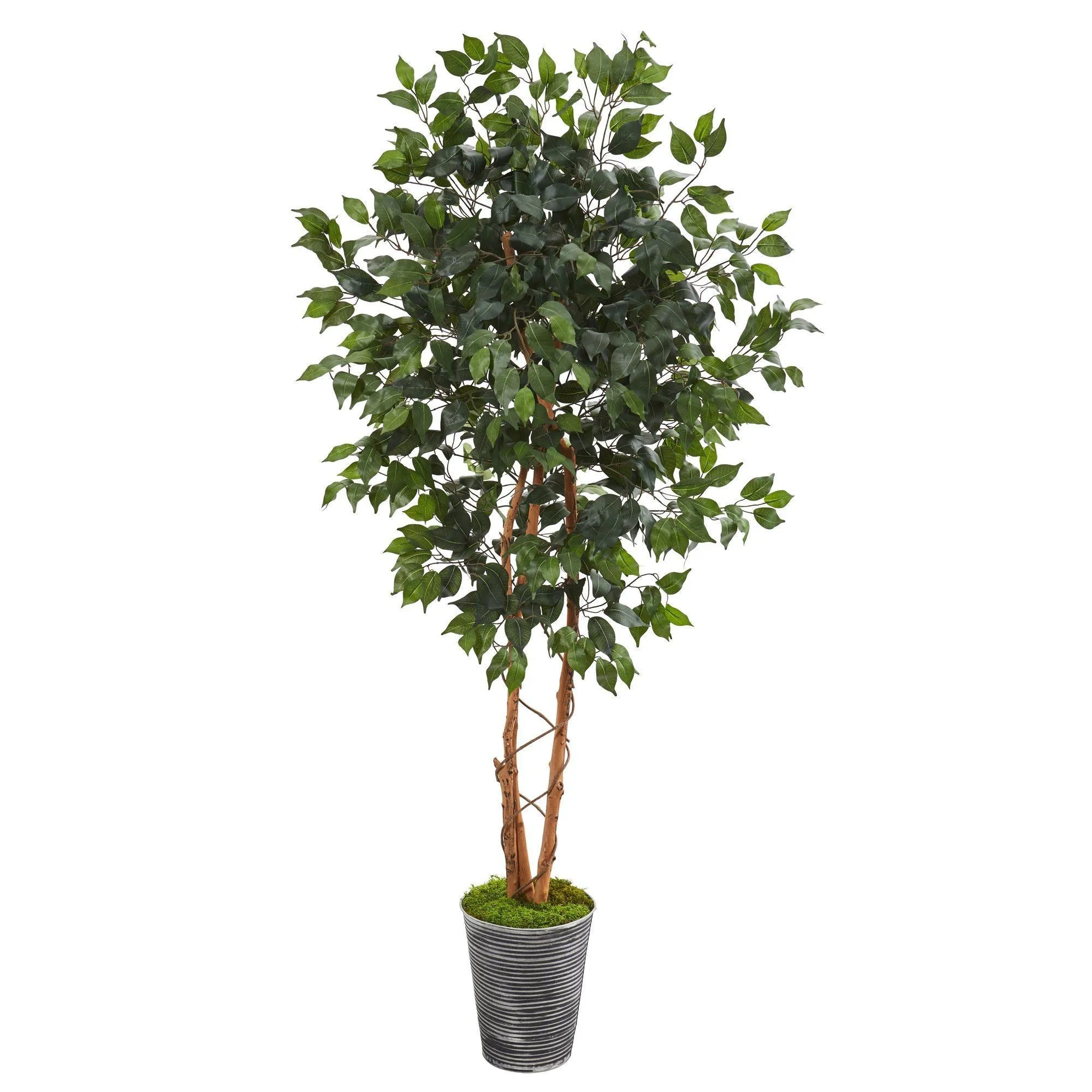 5.5’ Ficus Artificial Tree in Decorative Tin Planter