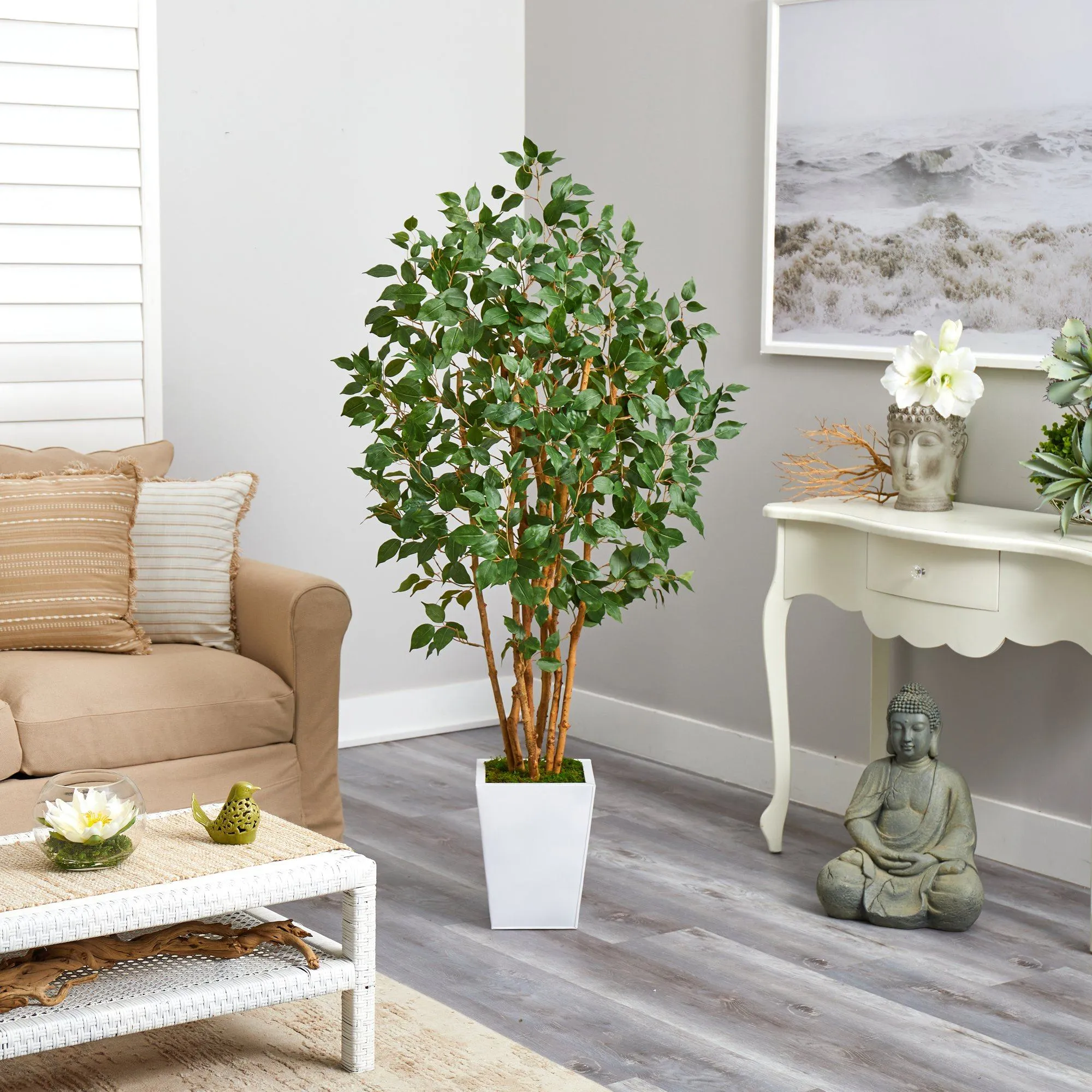 5.5' Ficus Bushy Artificial Tree in White Metal Planter