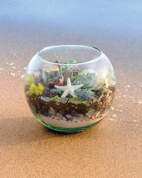 Beach Terrarium Kit