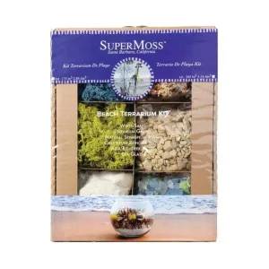 Beach Terrarium Kit