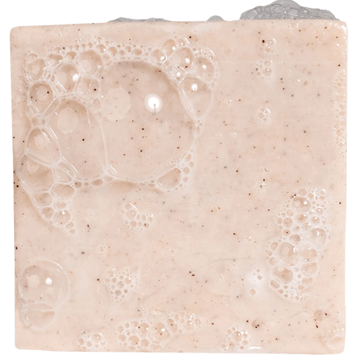 Birch Scents Set