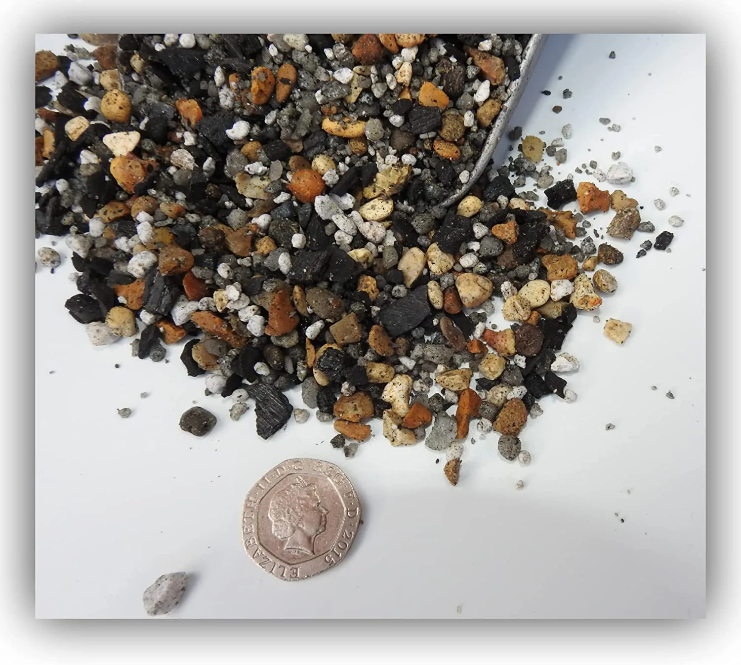 Cactex™ Soil Conditioner - Cacti & Succulents Potting Additive