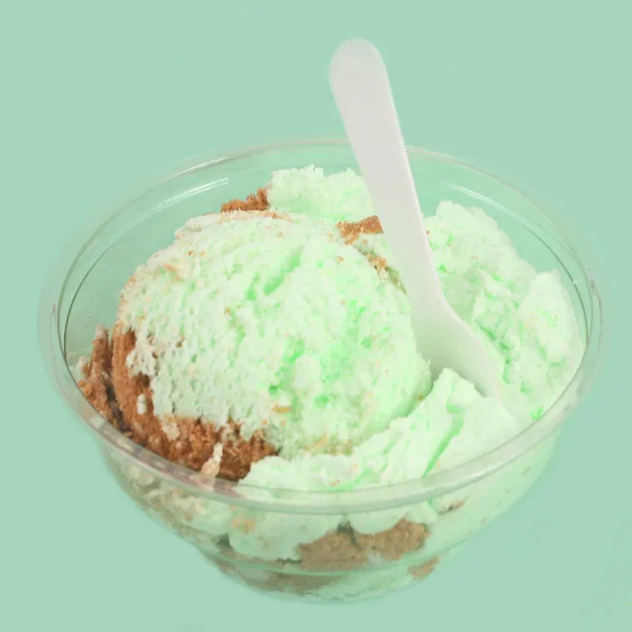 Chocolate Mint Gelato Bath Bomb (6 oz)