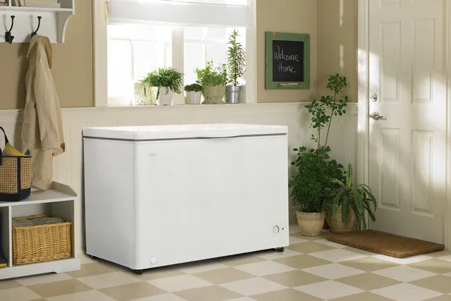 Danby 10.20 cu. ft. Chest Freezer - DCFM289WDD
