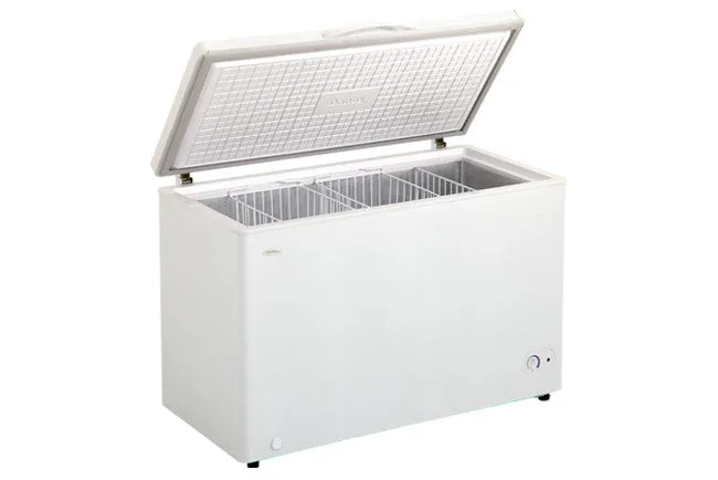 Danby 10.20 cu. ft. Chest Freezer - DCFM289WDD