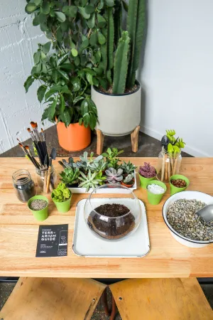 Date Night DIY Terrarium Workshop (Adults Only)
