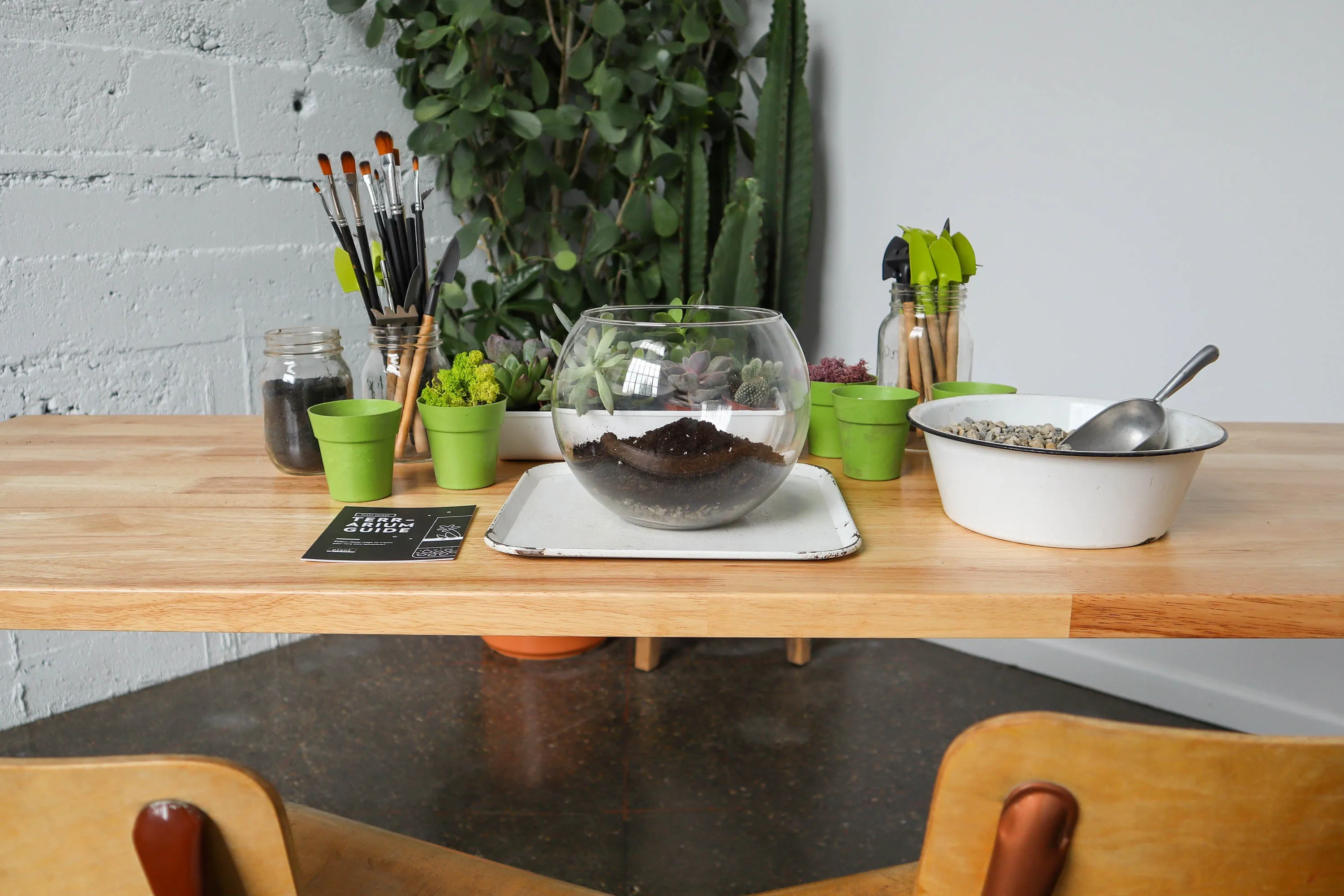 Date Night DIY Terrarium Workshop (Adults Only)