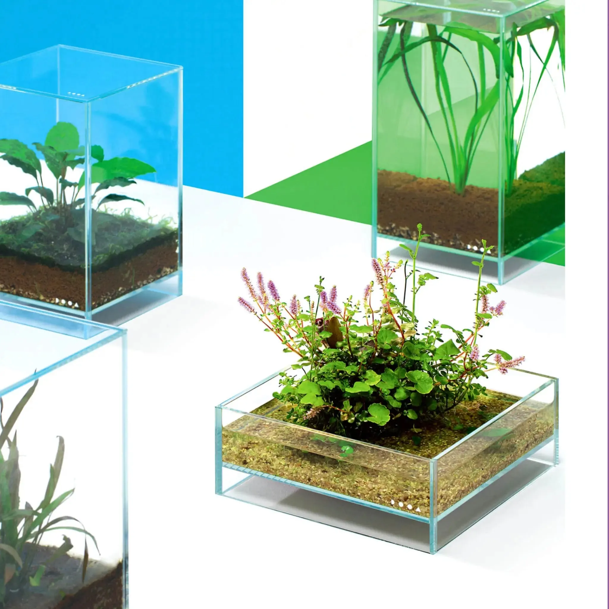 DOOA Neo Glass Air (30x30x45cm)