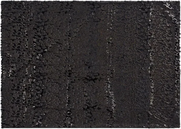 Fur N9510 Black Throw Blanket