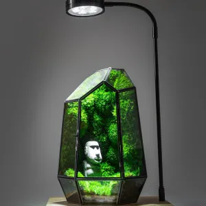 Geometric Terrarium