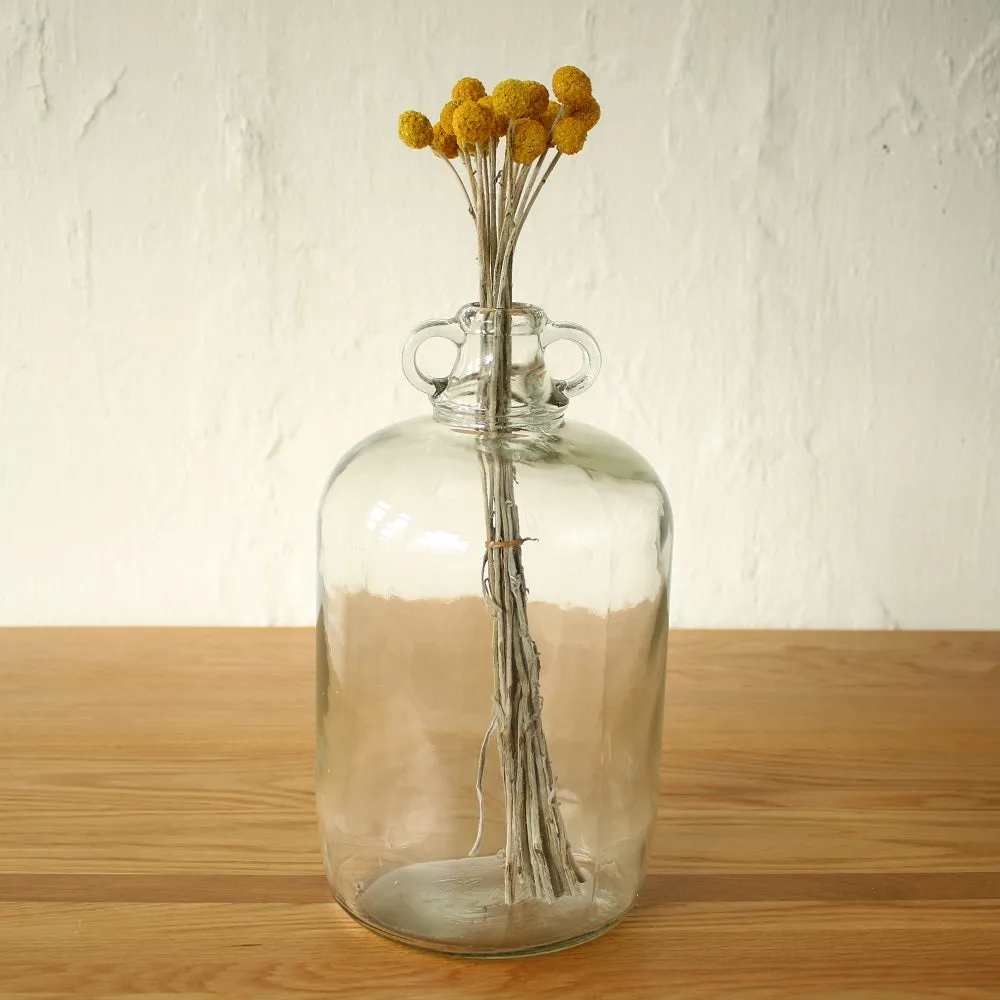 Large Vintage Glass Bottle Vase
