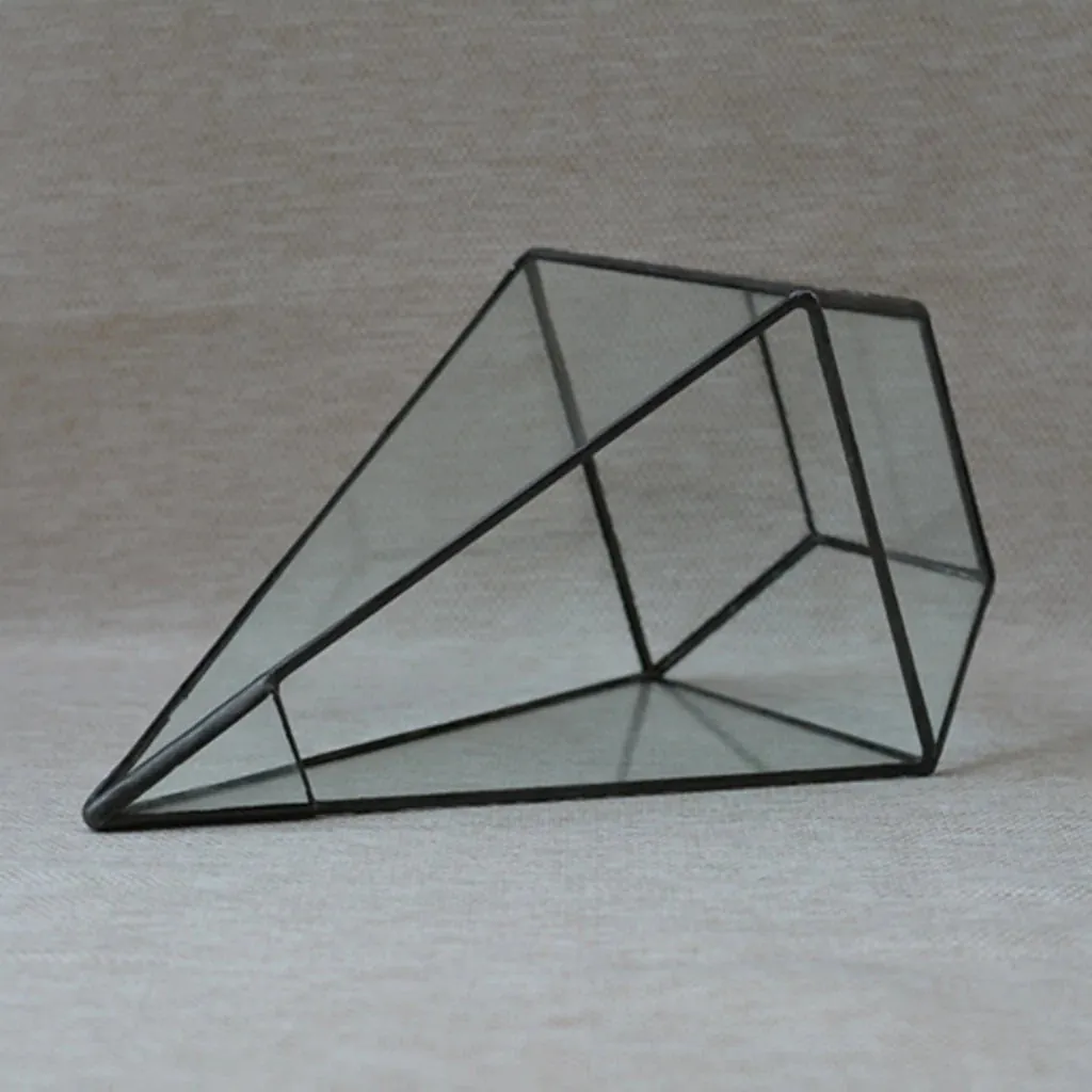Plants Geometric Succulents Terrarium