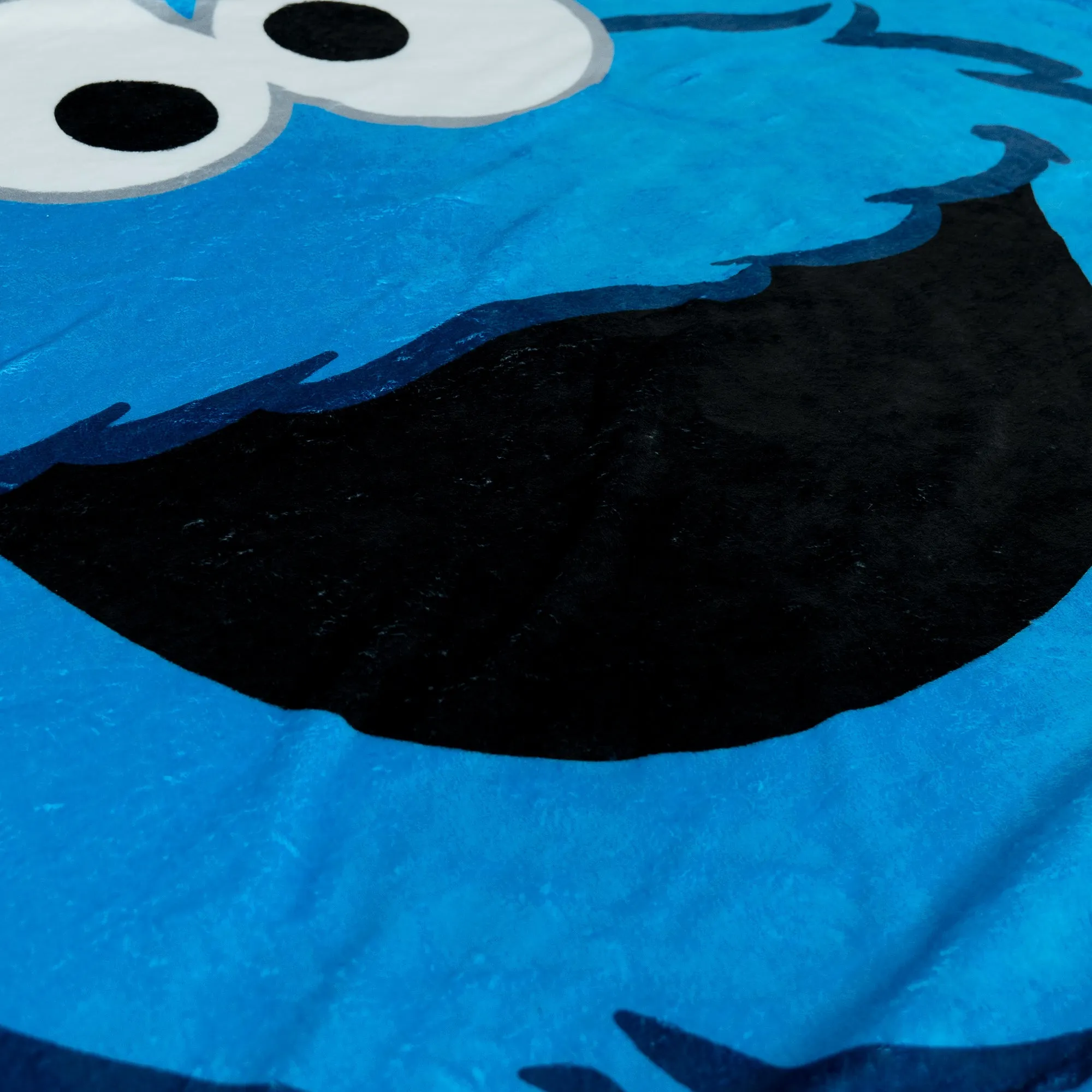 Scatter Cushion Cover 47 x 47cm - Cookie Monster