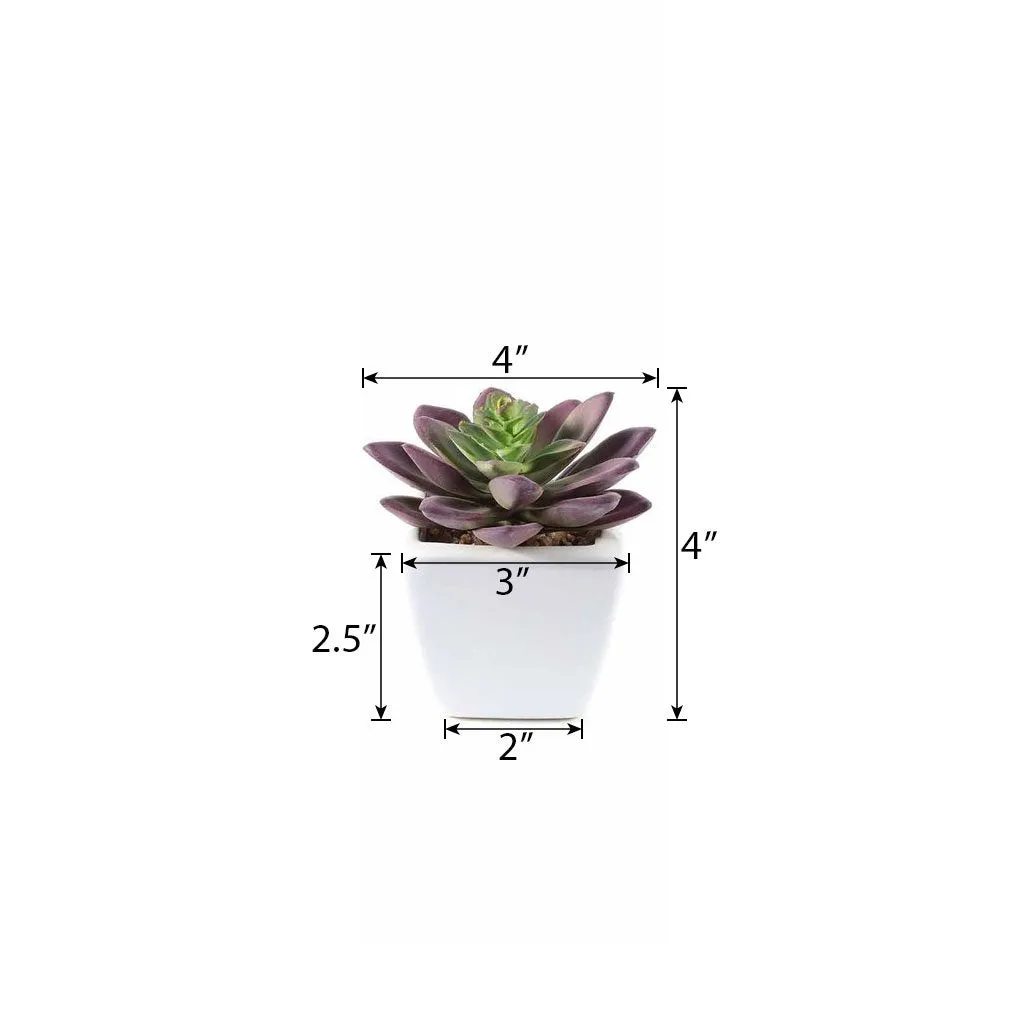Set of 3 | 4'' Assorted Echeveria Artificial Plants with Pots
