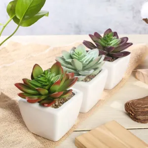 Set of 3 | 4'' Assorted Echeveria Artificial Plants with Pots