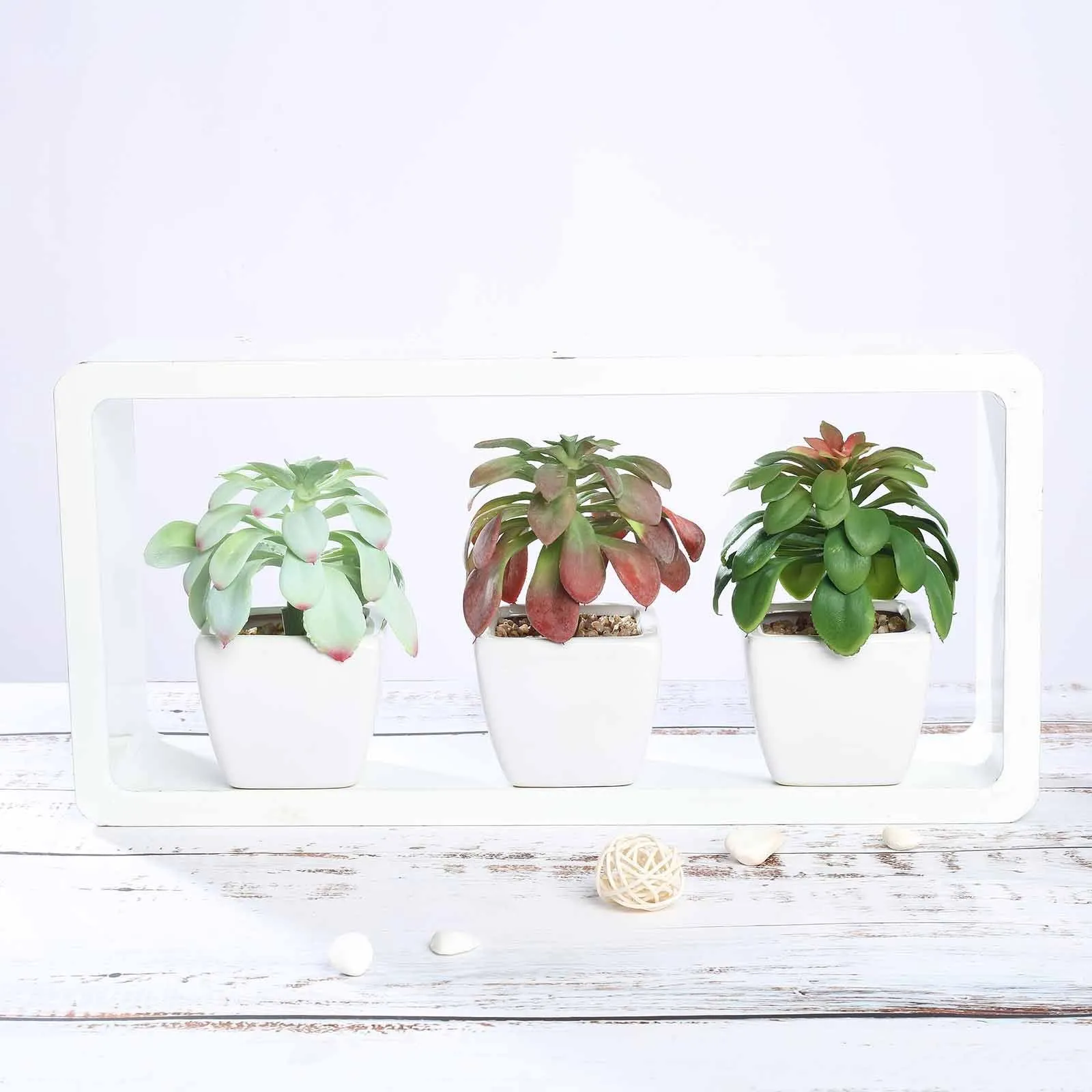 Set of 3 | 5'' Assorted Echeveria or Grape Artificial Plants with Pots
