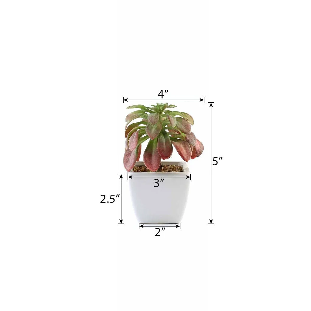 Set of 3 | 5'' Assorted Echeveria or Grape Artificial Plants with Pots
