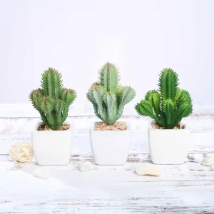 Set of 3 | 5" Assorted Cactus Artificial Plants with Pots