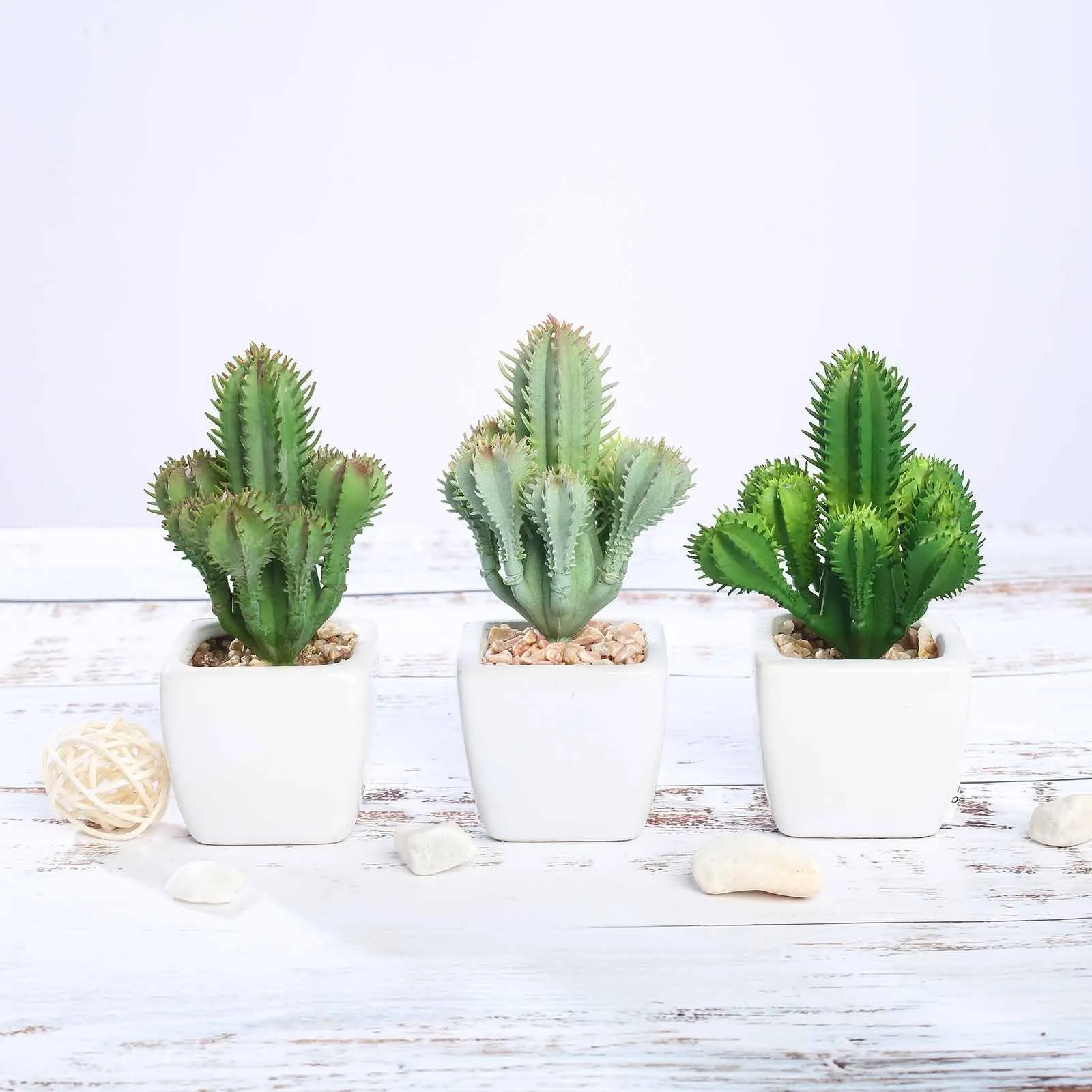 Set of 3 | 5" Assorted Cactus Artificial Plants with Pots