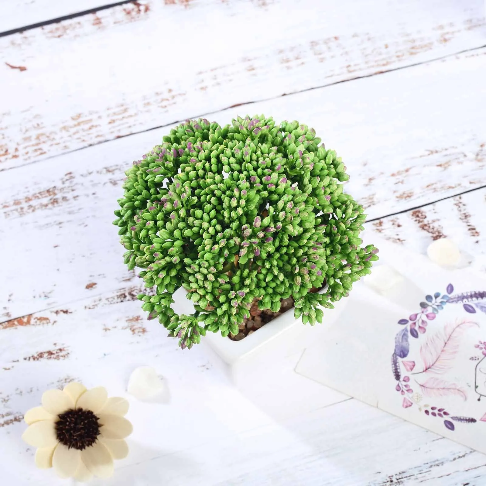 Set of 3 | 6'' Assorted Autumn Joy Sedum Artificial Plants with Pots