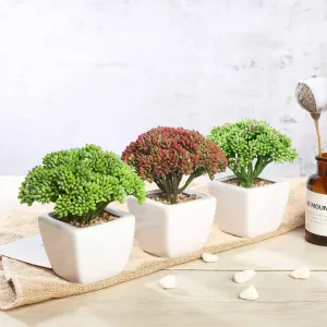 Set of 3 | 6'' Assorted Autumn Joy Sedum Artificial Plants with Pots