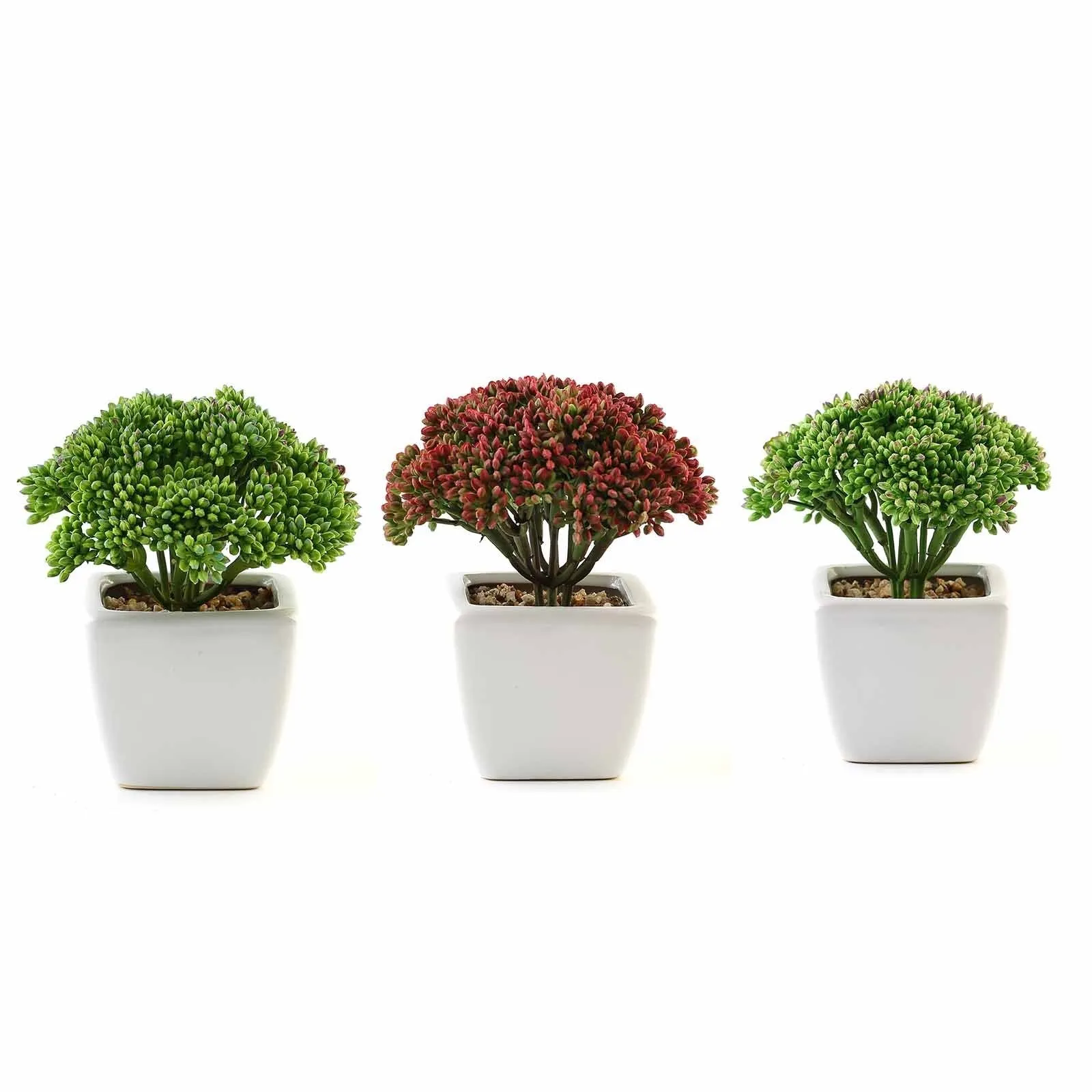 Set of 3 | 6'' Assorted Autumn Joy Sedum Artificial Plants with Pots