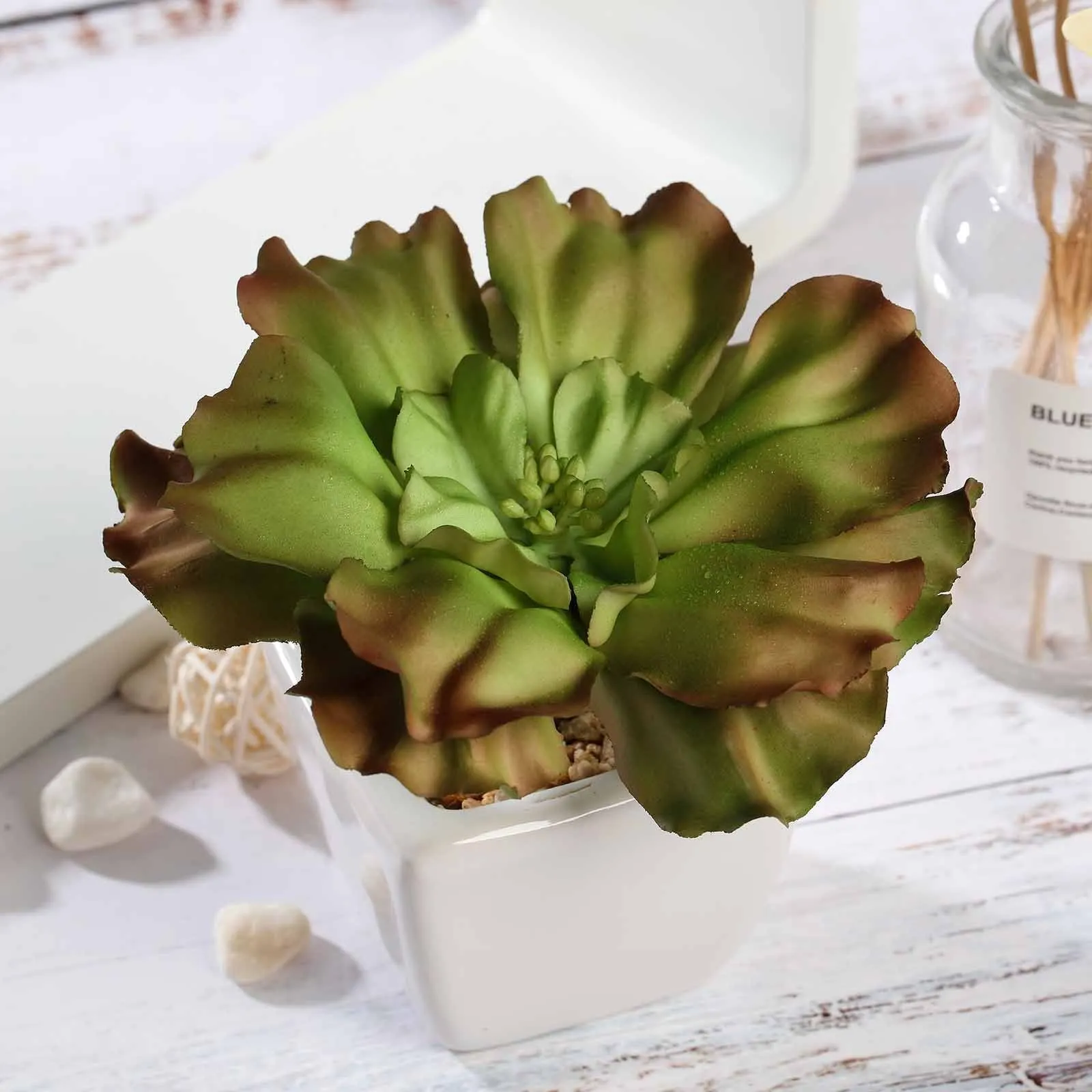 Set of 3 | 6'' Assorted Echeveria Artificial Plants with Pots