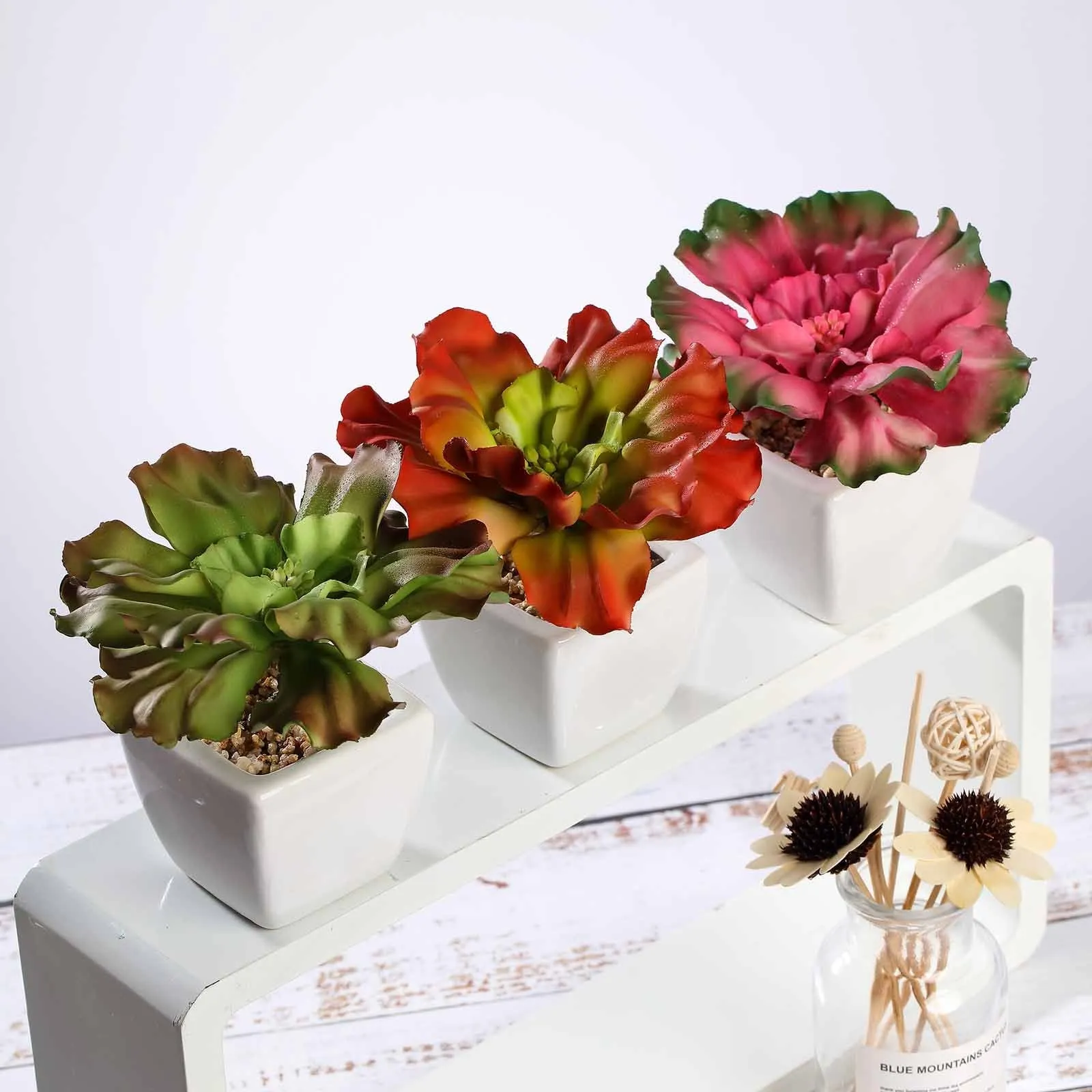 Set of 3 | 6'' Assorted Echeveria Artificial Plants with Pots