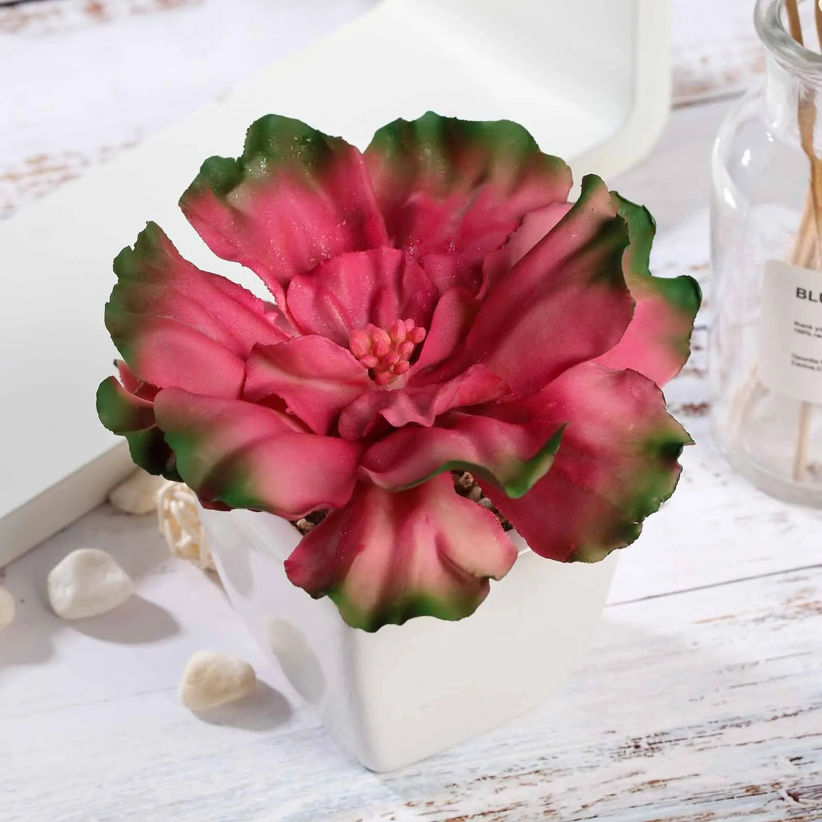 Set of 3 | 6'' Assorted Echeveria Artificial Plants with Pots