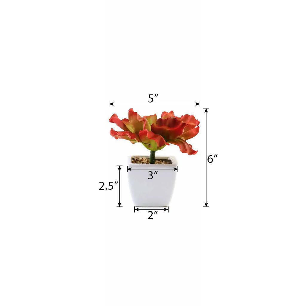 Set of 3 | 6'' Assorted Echeveria Artificial Plants with Pots