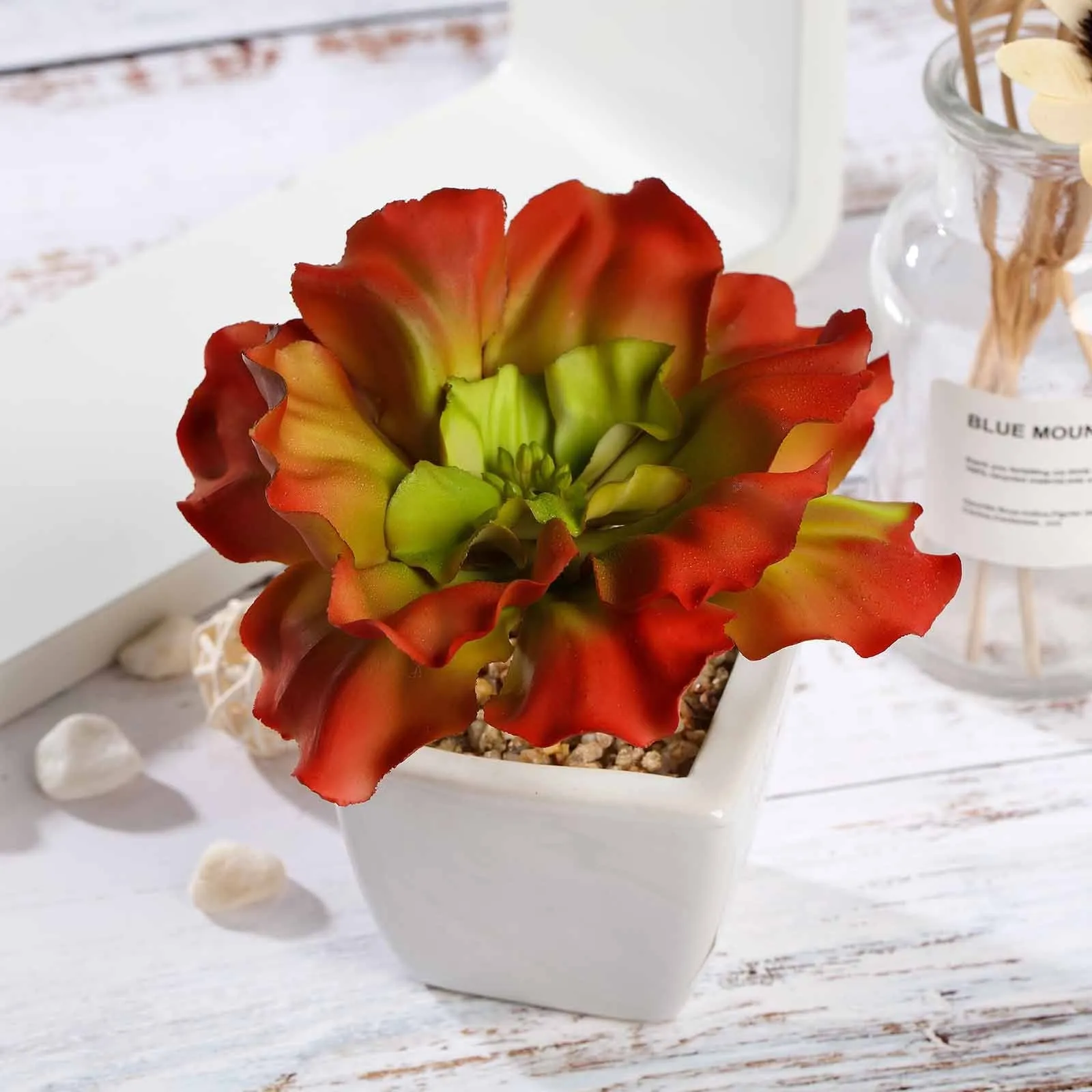 Set of 3 | 6'' Assorted Echeveria Artificial Plants with Pots