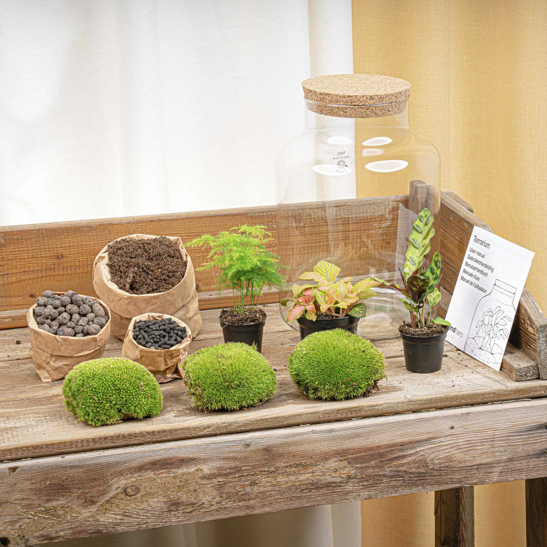 Terrarium DIY Kit - Milky - Bottle Garden - ↑ 30 cm