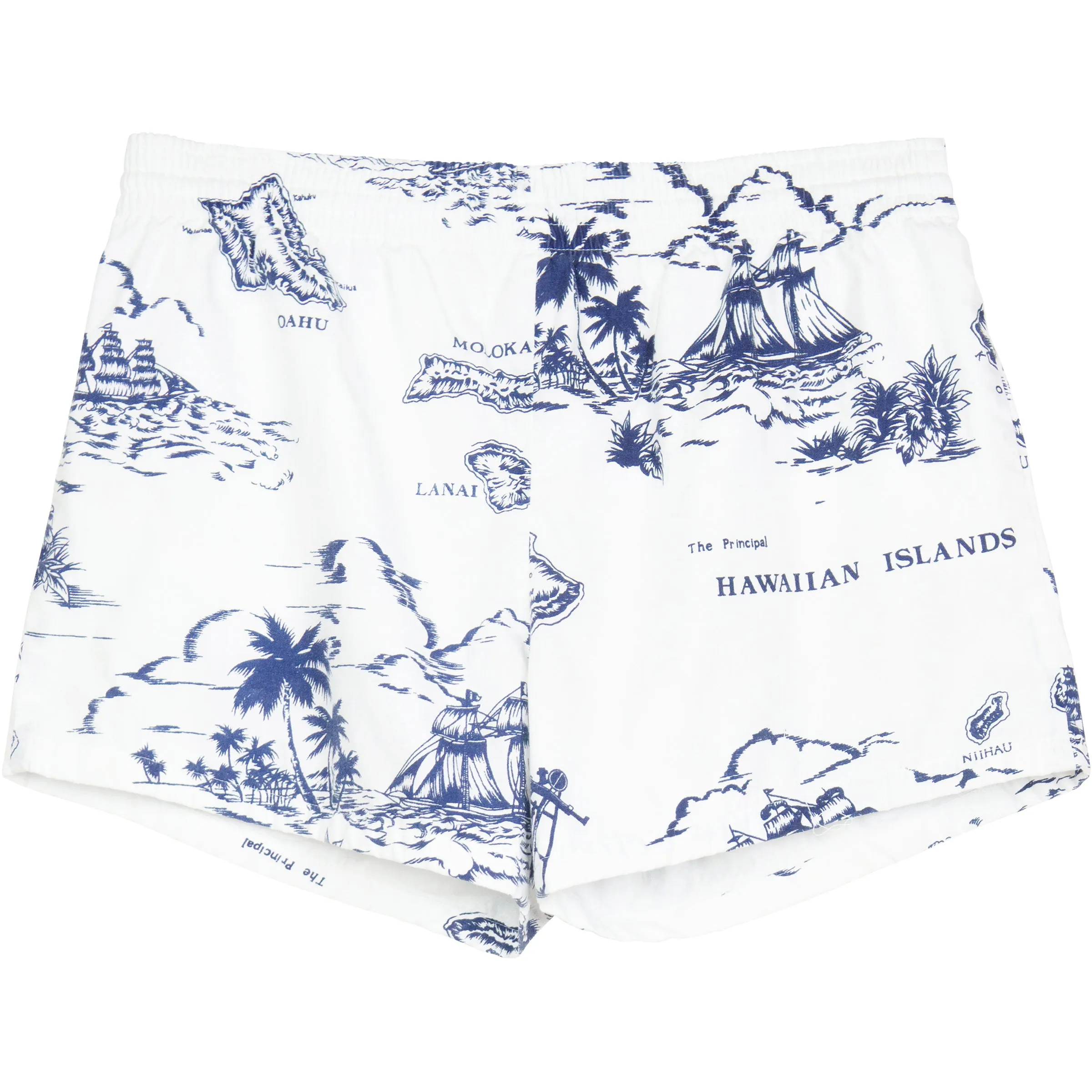 VINTAGE HAWAII SWIM TRUNKS
