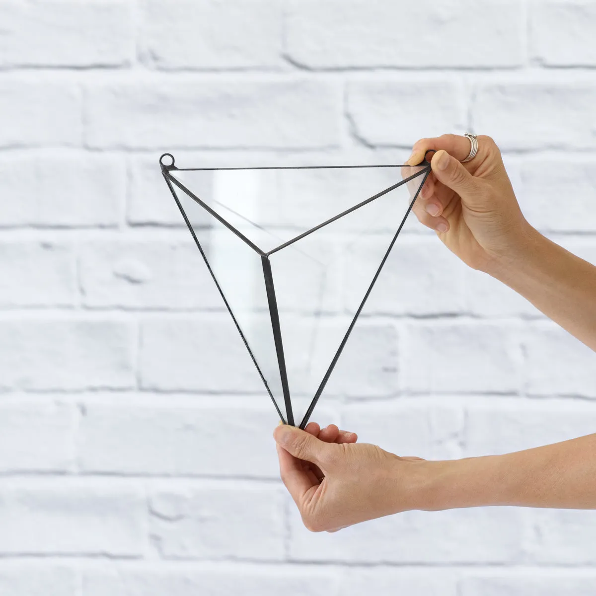 Wall Terrarium - 3D Triangle