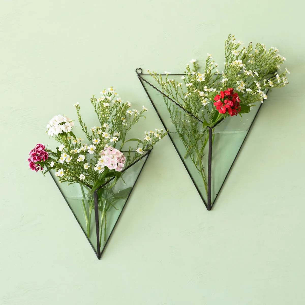 Wall Terrarium - 3D Triangle