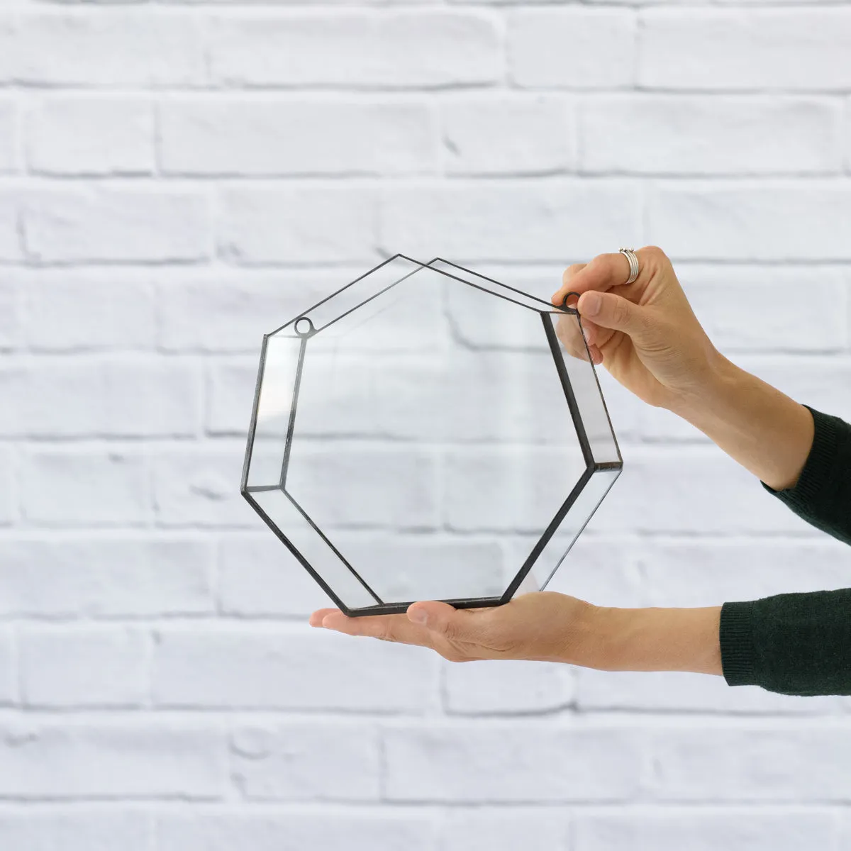 Wall Terrarium - Heptagon