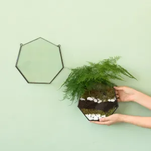 Wall Terrarium - Heptagon