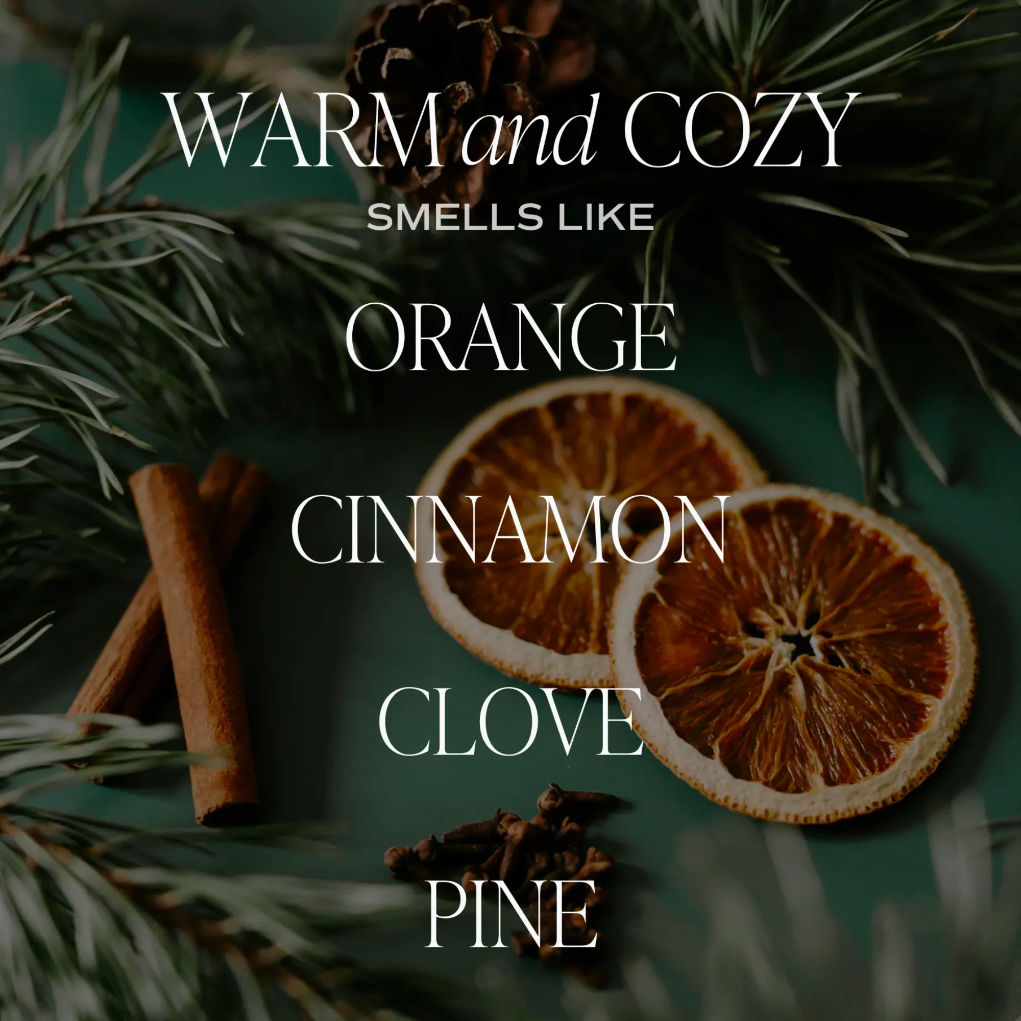 Warm   Cozy Jar Candle