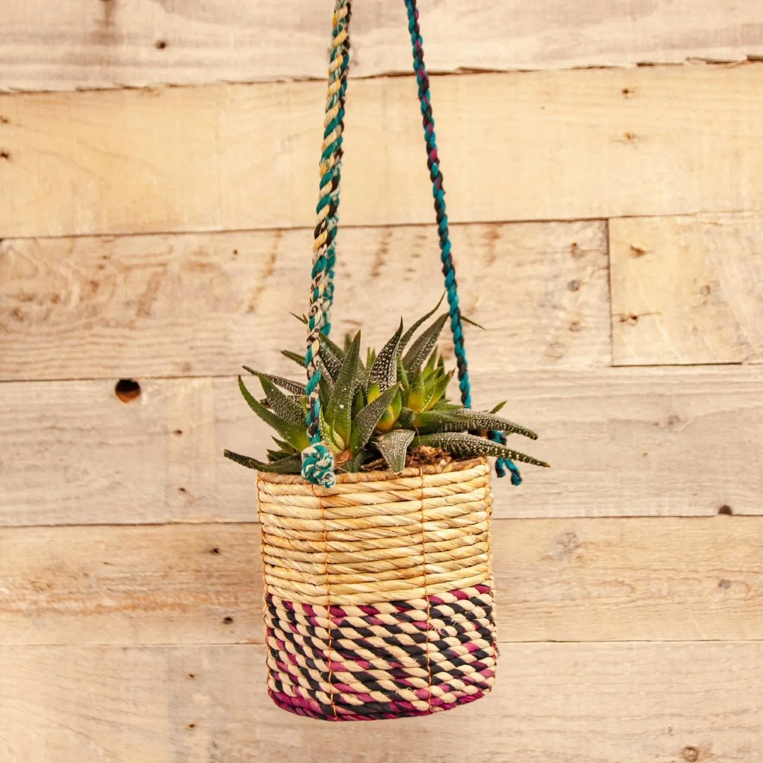 Wildlife World 12cm Small Cylindrical Artisan Hanging Plant Basket (Assorted Colours)